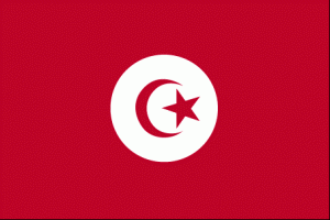 Tunisia ts-lgflag